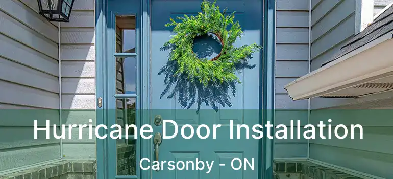  Hurricane Door Installation Carsonby - ON