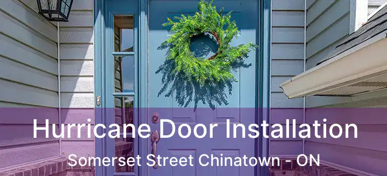  Hurricane Door Installation Somerset Street Chinatown - ON