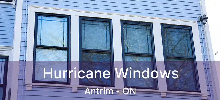  Hurricane Windows Antrim - ON