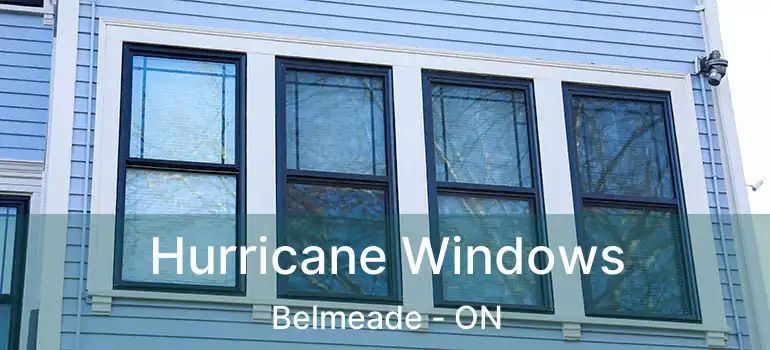  Hurricane Windows Belmeade - ON