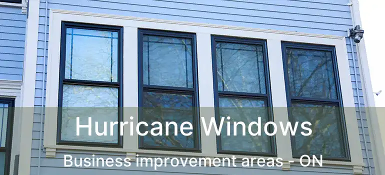  Hurricane Windows Business improvement areas - ON