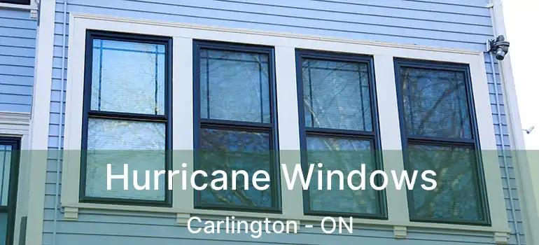  Hurricane Windows Carlington - ON