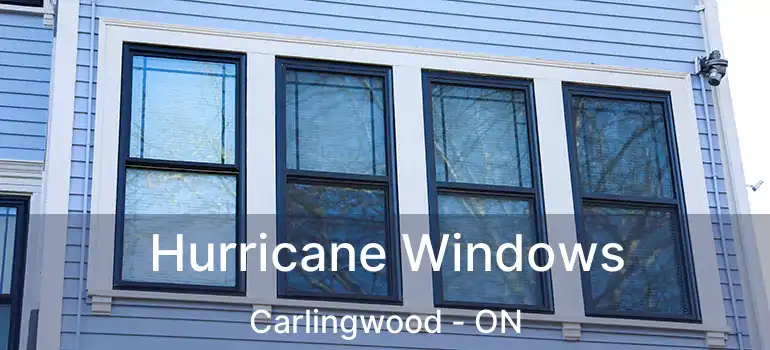  Hurricane Windows Carlingwood - ON