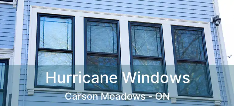  Hurricane Windows Carson Meadows - ON