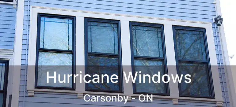  Hurricane Windows Carsonby - ON