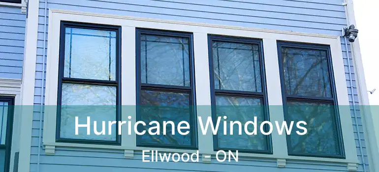  Hurricane Windows Ellwood - ON