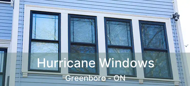  Hurricane Windows Greenboro - ON