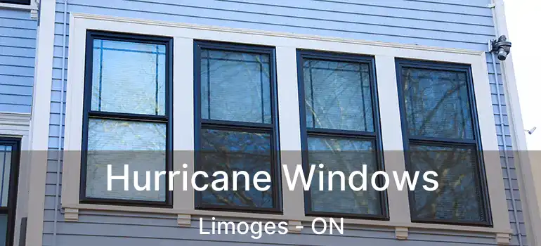  Hurricane Windows Limoges - ON