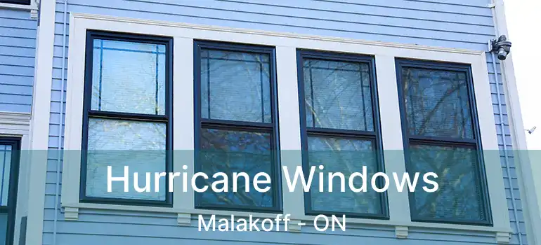  Hurricane Windows Malakoff - ON