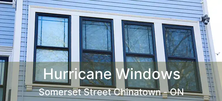  Hurricane Windows Somerset Street Chinatown - ON