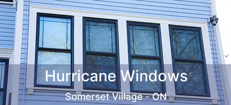  Hurricane Windows Somerset Village - ON