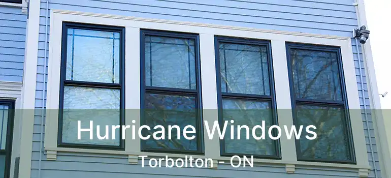  Hurricane Windows Torbolton - ON