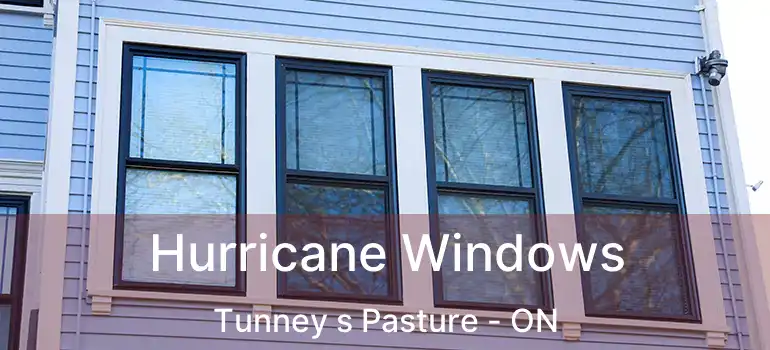  Hurricane Windows Tunney s Pasture - ON