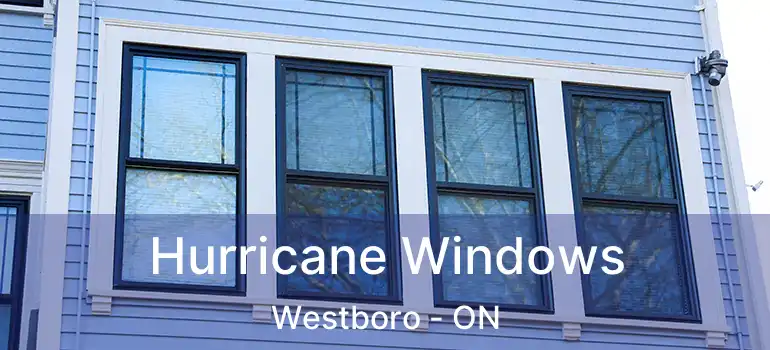  Hurricane Windows Westboro - ON