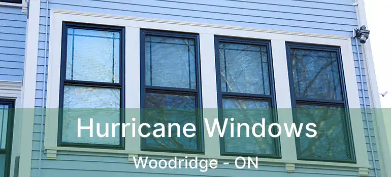  Hurricane Windows Woodridge - ON