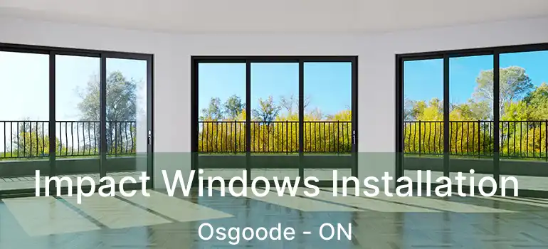  Impact Windows Installation Osgoode - ON