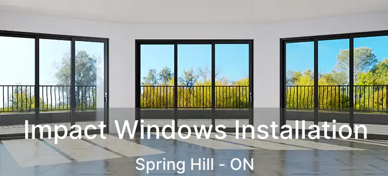  Impact Windows Installation Spring Hill - ON