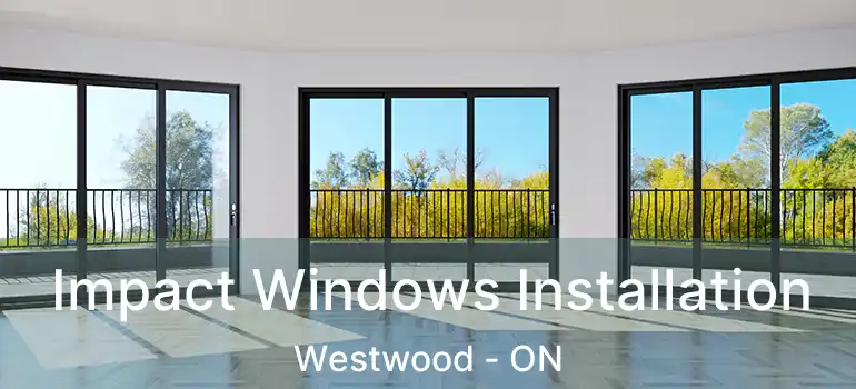  Impact Windows Installation Westwood - ON