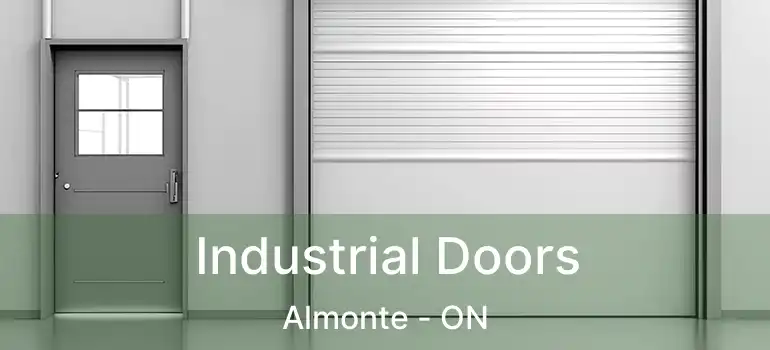  Industrial Doors Almonte - ON