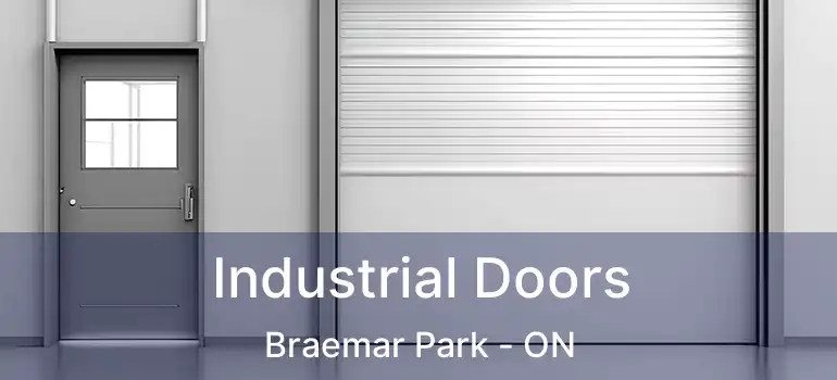  Industrial Doors Braemar Park - ON