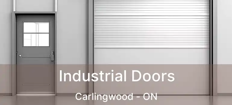  Industrial Doors Carlingwood - ON