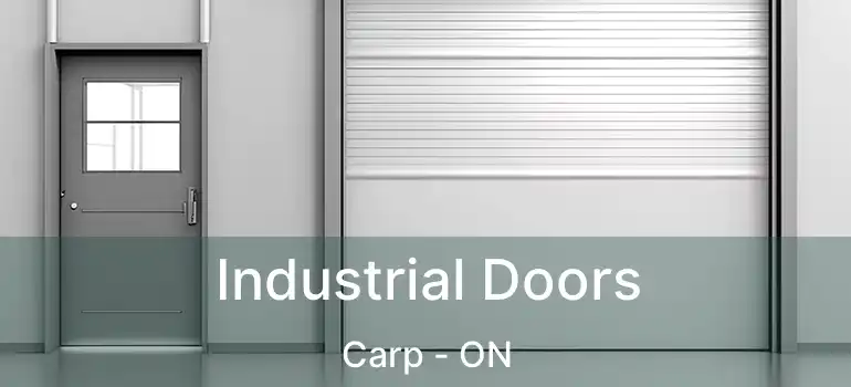  Industrial Doors Carp - ON