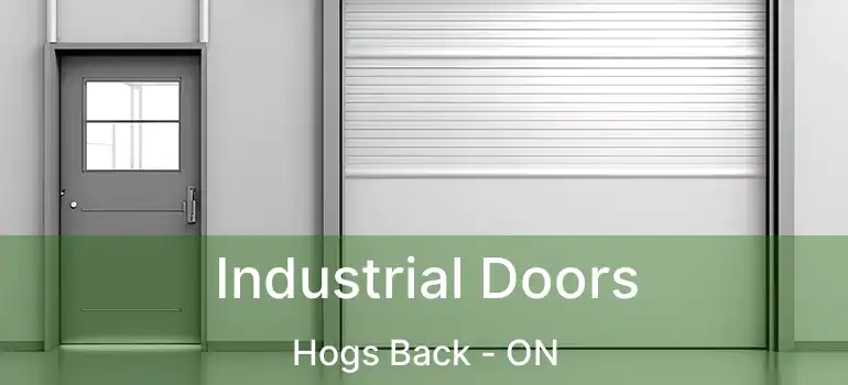  Industrial Doors Hogs Back - ON