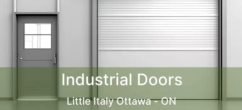  Industrial Doors Little Italy Ottawa - ON