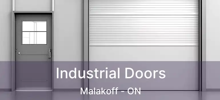  Industrial Doors Malakoff - ON