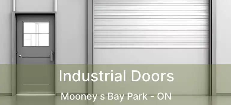  Industrial Doors Mooney s Bay Park - ON