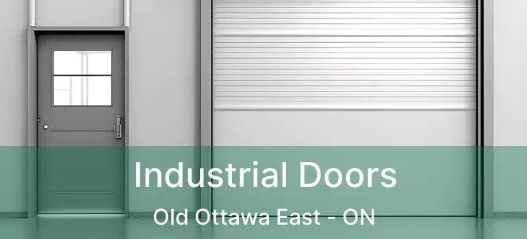  Industrial Doors Old Ottawa East - ON