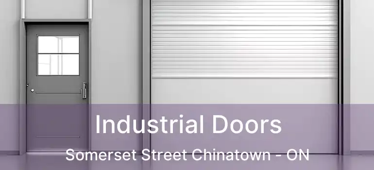  Industrial Doors Somerset Street Chinatown - ON