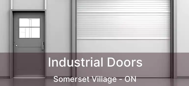  Industrial Doors Somerset Village - ON