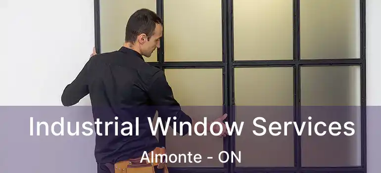  Industrial Window Services Almonte - ON