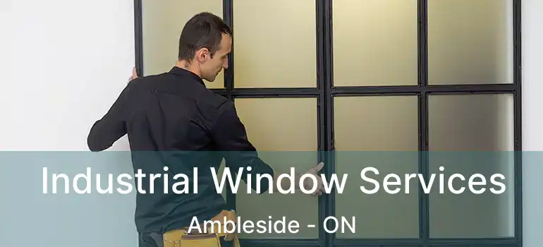  Industrial Window Services Ambleside - ON