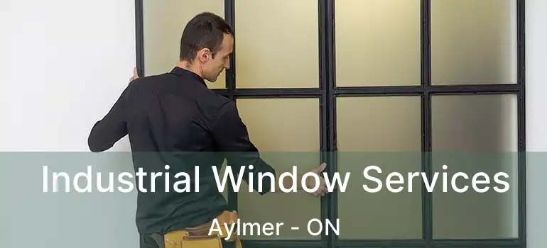  Industrial Window Services Aylmer - ON