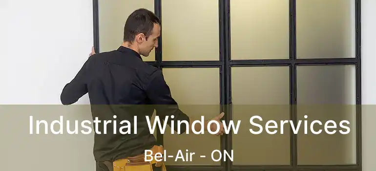  Industrial Window Services Bel-Air - ON