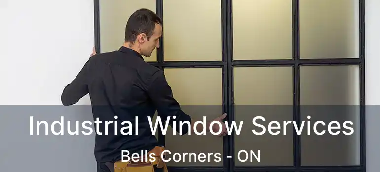  Industrial Window Services Bells Corners - ON