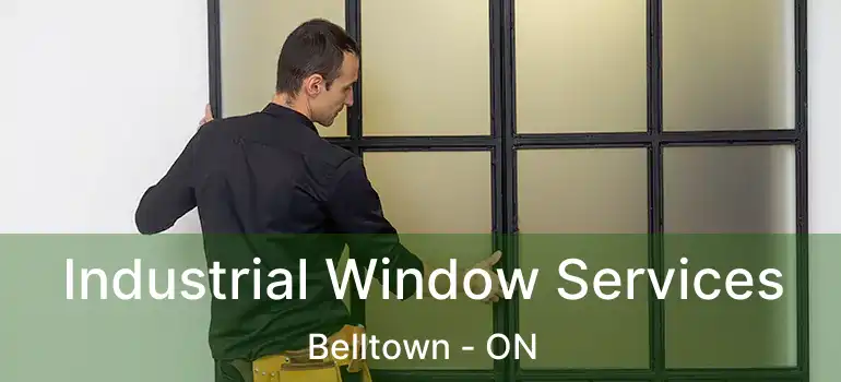  Industrial Window Services Belltown - ON