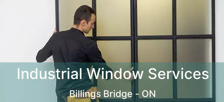  Industrial Window Services Billings Bridge - ON