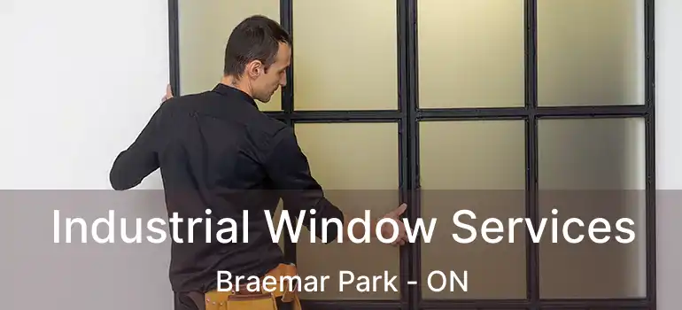  Industrial Window Services Braemar Park - ON