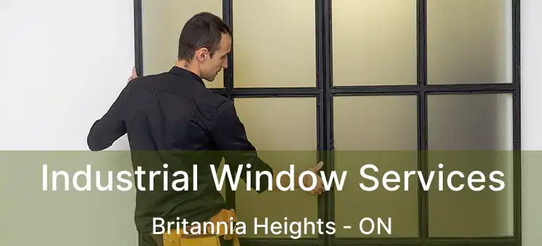  Industrial Window Services Britannia Heights - ON