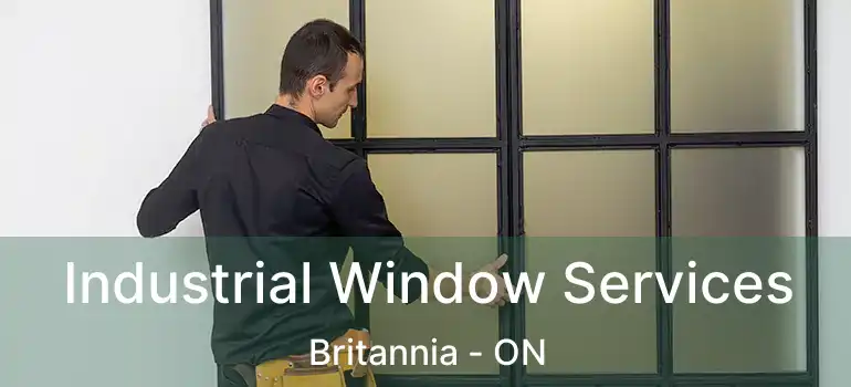  Industrial Window Services Britannia - ON