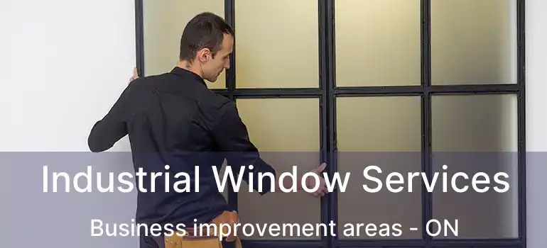  Industrial Window Services Business improvement areas - ON