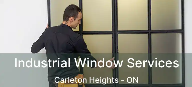  Industrial Window Services Carleton Heights - ON