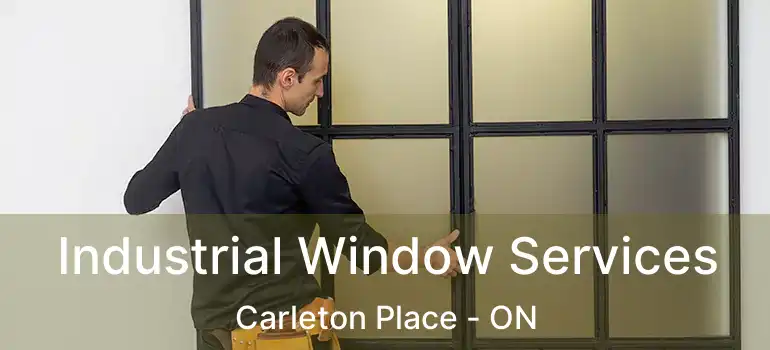  Industrial Window Services Carleton Place - ON