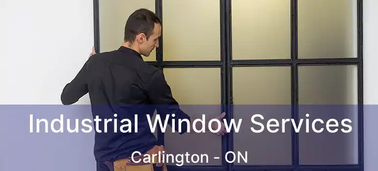  Industrial Window Services Carlington - ON