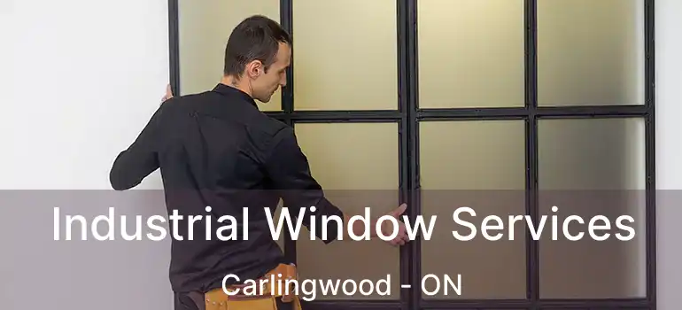  Industrial Window Services Carlingwood - ON