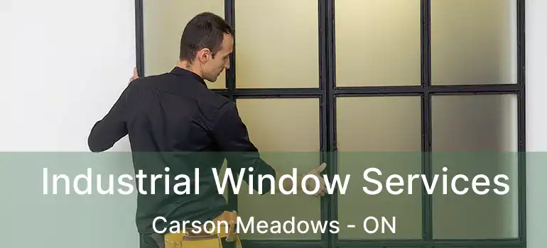  Industrial Window Services Carson Meadows - ON