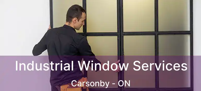  Industrial Window Services Carsonby - ON